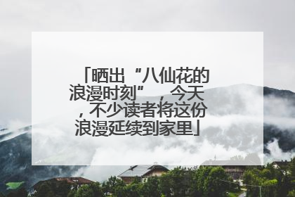 晒出“八仙花的浪漫时刻”，今天，不少读者将这份浪漫延续到家里