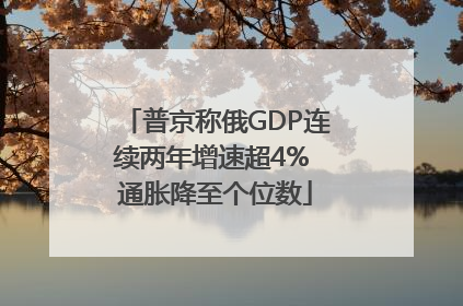 普京称俄GDP连续两年增速超4% 通胀降至个位数