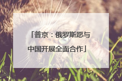 普京：俄罗斯愿与中国开展全面合作