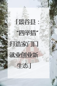 景谷县：“四举措”打造家门口就业创业新生态