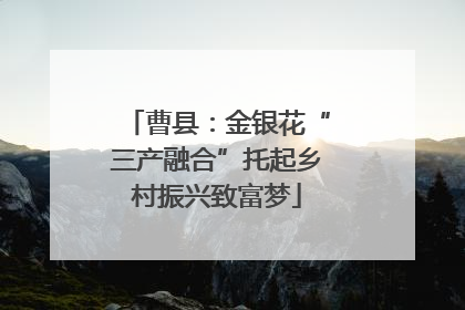 曹县：金银花“三产融合”托起乡村振兴致富梦