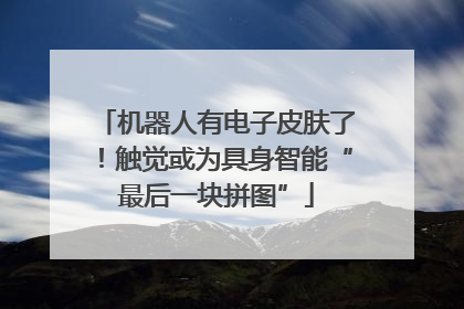 机器人有电子皮肤了！触觉或为具身智能“最后一块拼图”