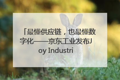 最懂供应链，也最懂数字化——京东工业发布Joy Industrial 重塑工业未来