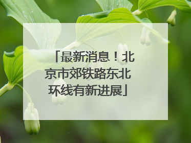 最新消息！北京市郊铁路东北环线有新进展
