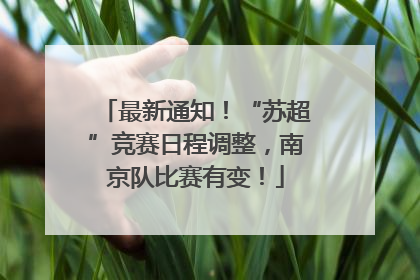 最新通知！“苏超”竞赛日程调整，南京队比赛有变！