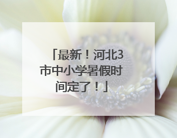 最新！河北3市中小学暑假时间定了！