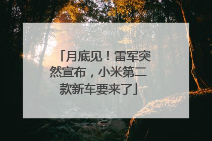 月底见！雷军突然宣布，小米第二款新车要来了