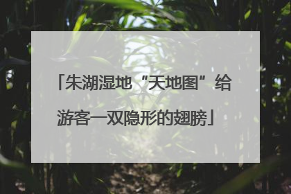朱湖湿地“天地图”给游客一双隐形的翅膀