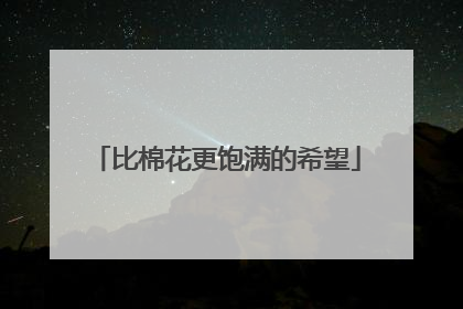比棉花更饱满的希望