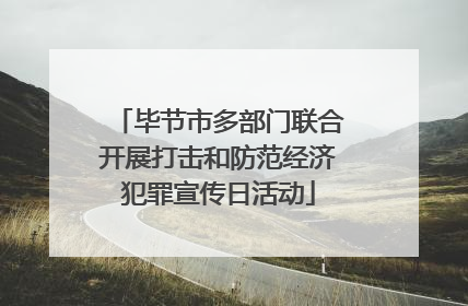 毕节市多部门联合开展打击和防范经济犯罪宣传日活动