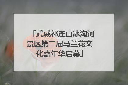 武威祁连山冰沟河景区第二届马兰花文化嘉年华启幕