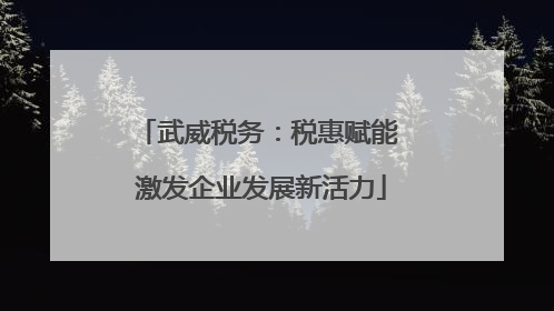 武威税务：税惠赋能 激发企业发展新活力