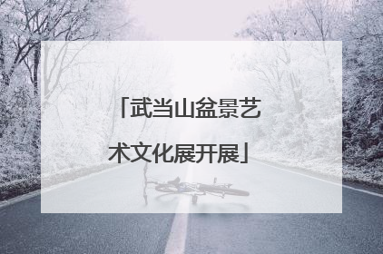 武当山盆景艺术文化展开展