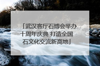 武汉客厅石博会举办十周年庆典 打造全国石文化交流新高地