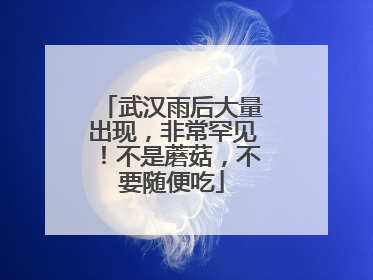 武汉雨后大量出现，非常罕见！不是蘑菇，不要随便吃