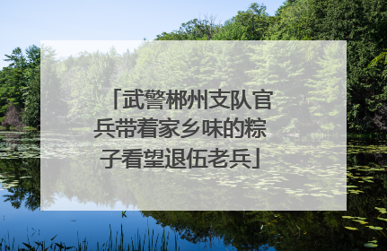 武警郴州支队官兵带着家乡味的粽子看望退伍老兵
