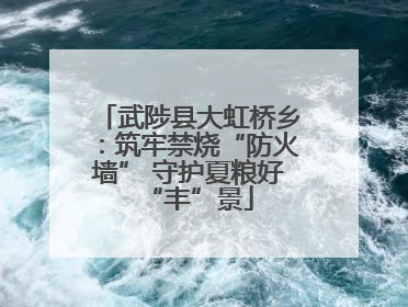 武陟县大虹桥乡：筑牢禁烧“防火墙” 守护夏粮好“丰”景