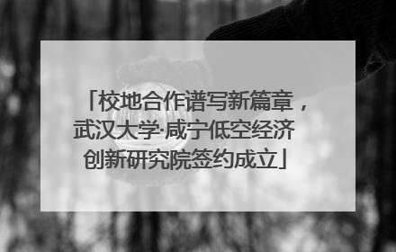校地合作谱写新篇章，武汉大学·咸宁低空经济创新研究院签约成立