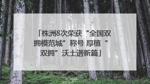 株洲8次荣获“全国双拥模范城”称号 厚植“双拥”沃土谱新篇