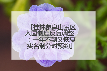 桂林象鼻山景区入园制度反复调整：一年不到又恢复实名制分时预约