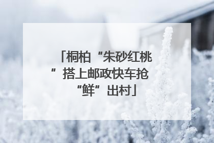 桐柏“朱砂红桃”搭上邮政快车抢“鲜”出村