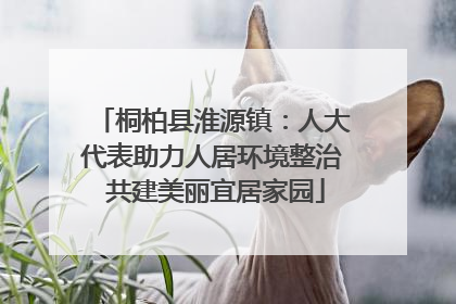 桐柏县淮源镇：人大代表助力人居环境整治 共建美丽宜居家园