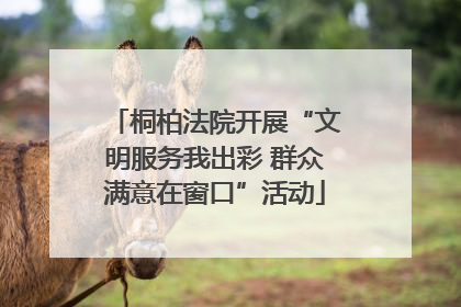 桐柏法院开展“文明服务我出彩 群众满意在窗口”活动