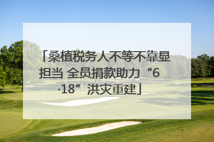 桑植税务人不等不靠显担当 全员捐款助力“6·18”洪灾重建