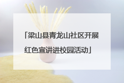 梁山县青龙山社区开展红色宣讲进校园活动