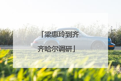 梁惠玲到齐齐哈尔调研