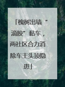 槐树出墙“滴胶”黏车，两社区合力消除车主头顶隐患