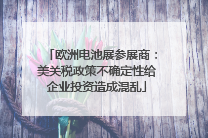 欧洲电池展参展商：美关税政策不确定性给企业投资造成混乱