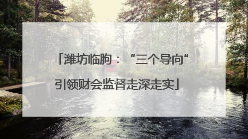 潍坊临朐：“三个导向”引领财会监督走深走实