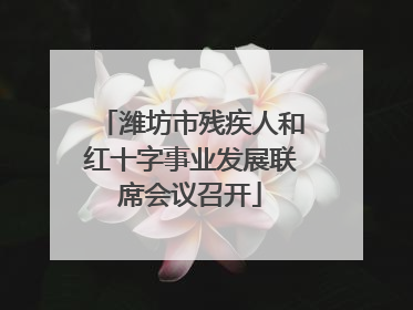 潍坊市残疾人和红十字事业发展联席会议召开