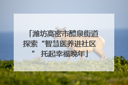 潍坊高密市醴泉街道探索“智慧医养进社区” 托起幸福晚年