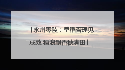 永州零陵：早稻管理见成效 稻浪飘香穗满田
