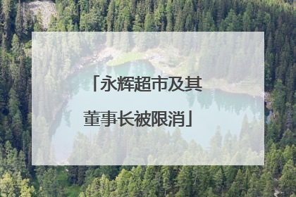 永辉超市及其董事长被限消