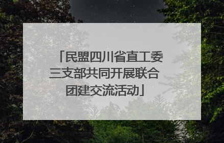 民盟四川省直工委三支部共同开展联合团建交流活动
