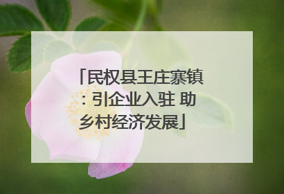 民权县王庄寨镇：引企业入驻 助乡村经济发展
