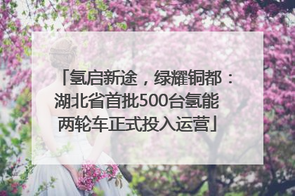 氢启新途，绿耀铜都：湖北省首批500台氢能两轮车正式投入运营