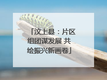 汶上县：片区组团谋发展 共绘振兴新画卷