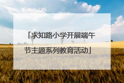 求知路小学开展端午节主题系列教育活动