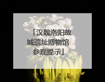 汉魏洛阳故城遗址博物馆参观提示