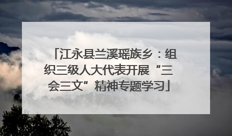 江永县兰溪瑶族乡：组织三级人大代表开展“三会三文”精神专题学习