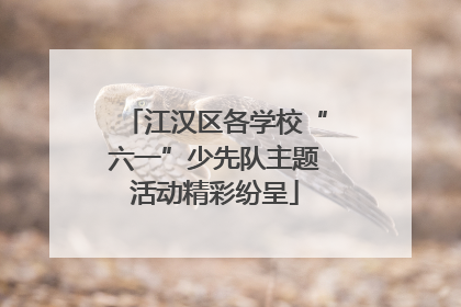 江汉区各学校“六一”少先队主题活动精彩纷呈