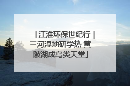 江淮环保世纪行｜三河湿地研学热 黄陂湖成鸟类天堂