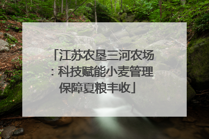 江苏农垦三河农场：科技赋能小麦管理保障夏粮丰收
