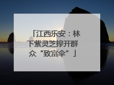 江西乐安：林下紫灵芝撑开群众“致富伞”
