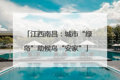 江西南昌：城市“绿岛”助候鸟“安家”