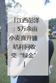 江西彭泽：5万余亩小麦喜开镰 秸秆回收变“绿金”